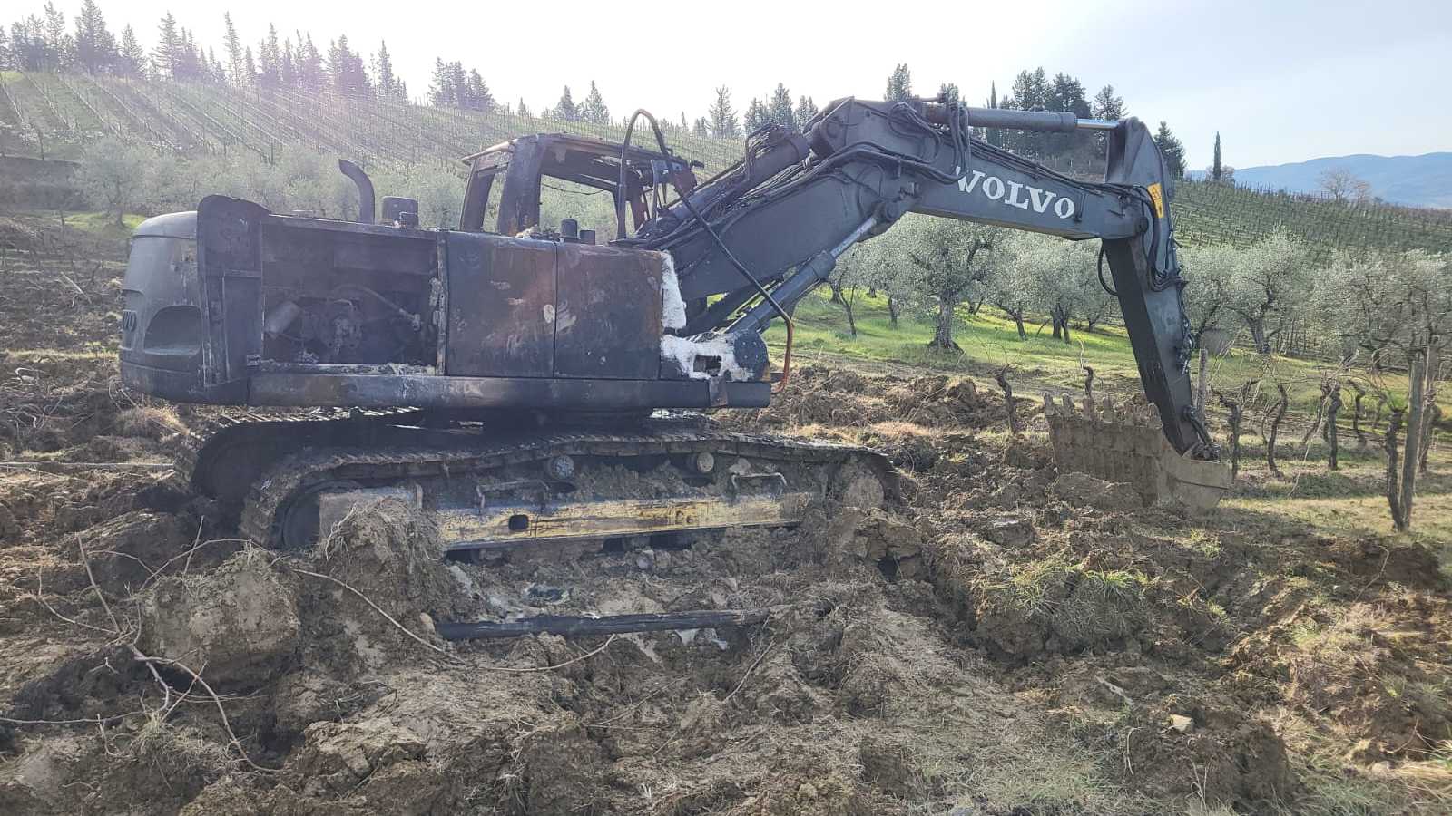 OmecoHub - Immagine 2